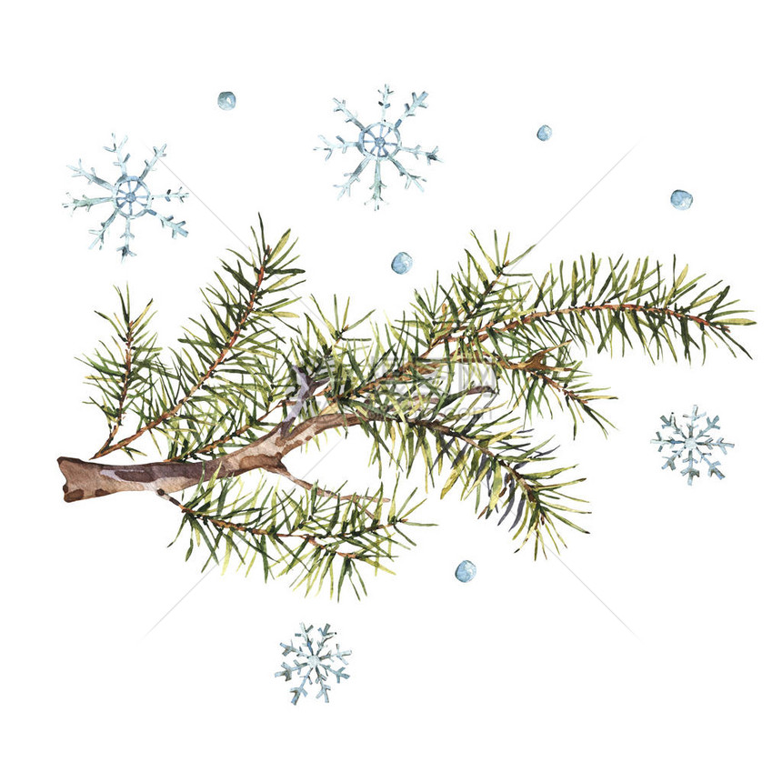 带树枝和雪花的圣诞贺卡图片
