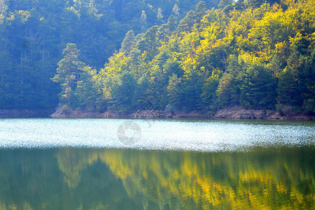 巴纳特伯格夏天高清图片