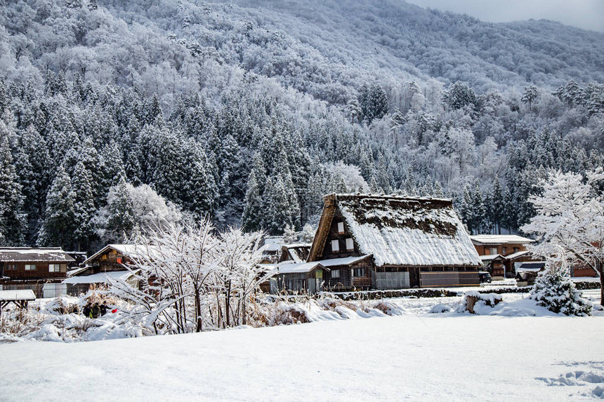 冬季的白川果村图片