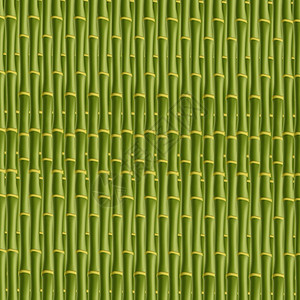 绿竹棍布图案背景插图模板壁纸竹图片