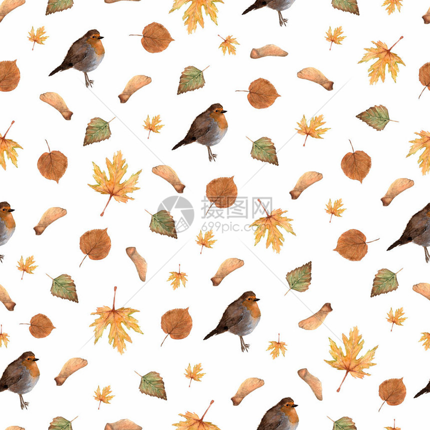 无缝图案与秋叶和小罗宾鸟彩色插图白色背景上的水彩手绘纹理非常适合壁纸博客封图片