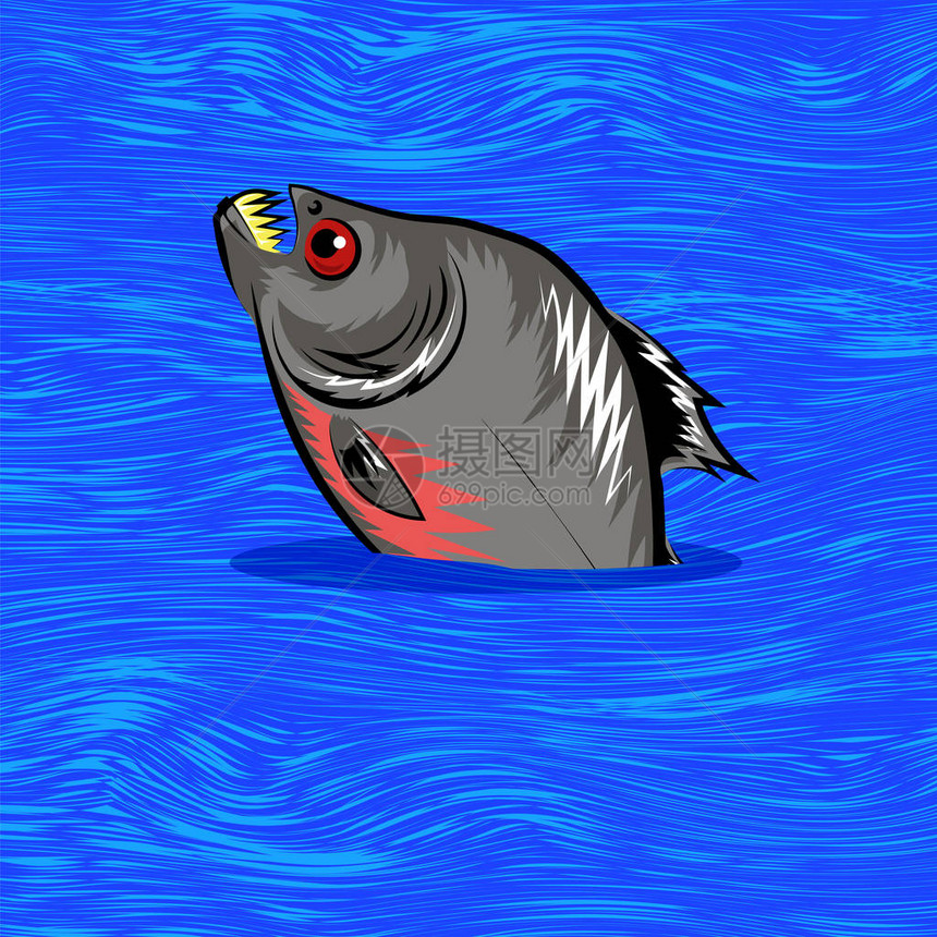 卡通鱼在蓝色的水背景中游泳图片