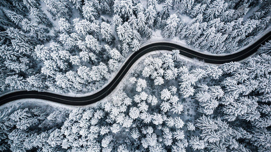 弯曲多风的道路在积雪覆盖的森林自上而下的鸟瞰图片