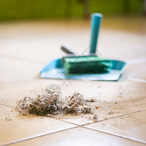 扫帚畚箕畚箕和刷子清扫家里地板上的灰尘背景