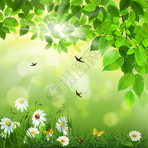 春天背景与鲜花和燕子图片