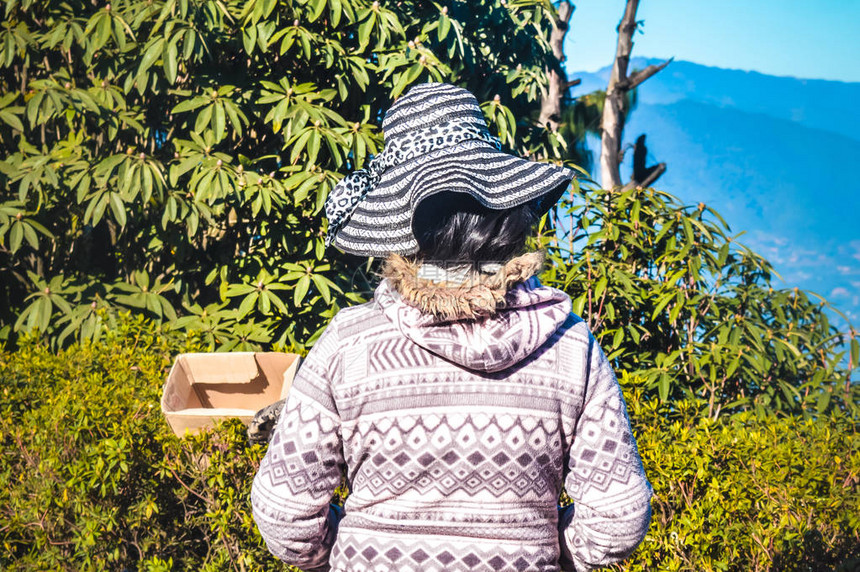 令人惊异的女孩在寒冷的冬天假扮长头发折叠图片