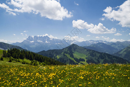 法国阿尔卑斯山罗昂阿尔卑斯地区有花朵和蓝天空的美高清图片