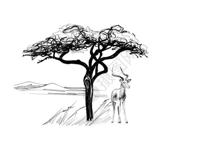 非洲一棵树附近的黑斑羚手绘插图收集手绘插图原件无追踪图片