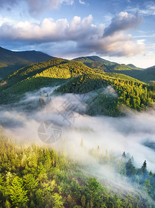 雾中森林的鸟瞰夏季美丽的自然空中景观森林和山脉从无人机俯瞰山区形象背景图片