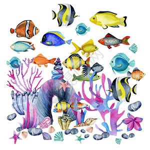 珊瑚和海石图示中的水彩海洋热带外来鱼类图片