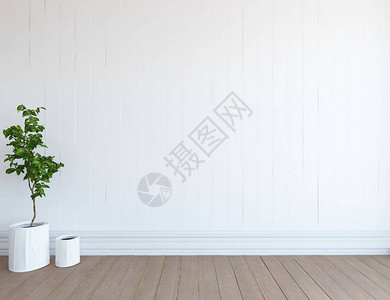 空荡的斯堪的纳维亚房间内部与木地板上的植物的想法首页北欧内饰3D插背景图片