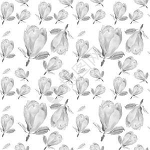 水彩无缝图案与白色背景上嫩玉兰花的插图可用作网页设计化妆品设计包装图片