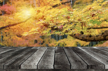 空木板桌子或现代木制露台图片