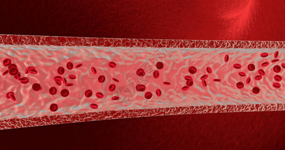在动脉中的血细胞3图片