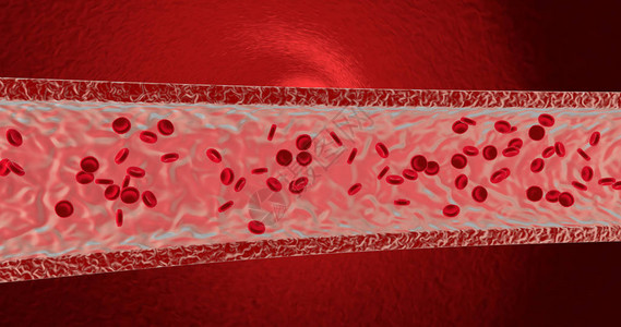 在动脉中的血细胞3图片