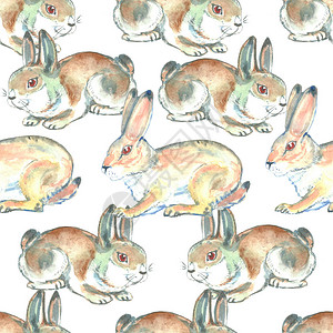 水彩插图野生动物的无缝背景手绘野兔图片