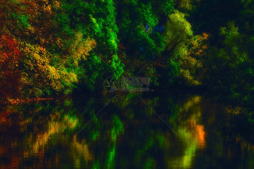 茂密的树叶倒映在河水中图片