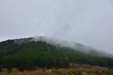 夏天美丽的风景图片