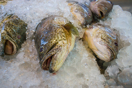 冰面市场上的鱼海食物图片