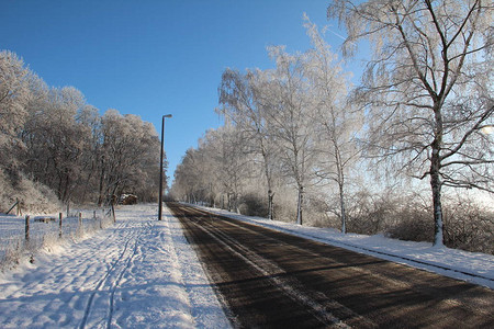 冬季公园的道路树木被雪覆盖图片