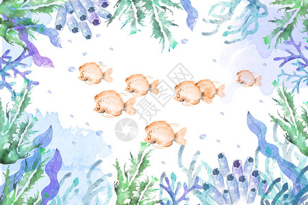 海洋植物和鱼类框架水色风格现实的奇妙漫画风格艺术场景壁纸故事背景图片