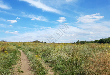 蓝天白云背景与桌面web的云夏季海报的风景背与田野草树乌克兰图片