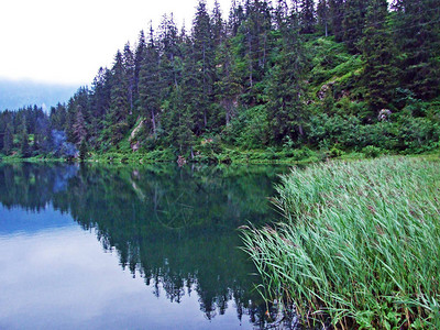 山湖Golzerensee或BergseeGolzernsee图片