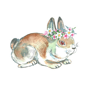可爱的水彩东兔带花图片