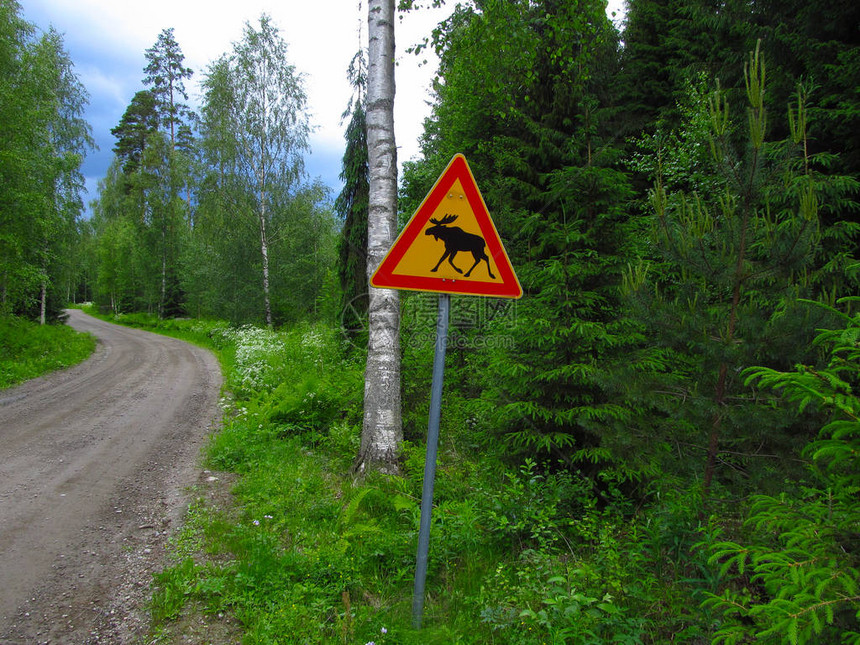 该标志警告该地区的驾车者穿越驼鹿当心驼鹿芬图片