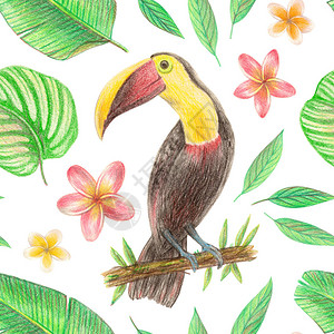 手绘热带植物花卉和鸟类图片