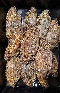 泰国市场鲜鱼和图片