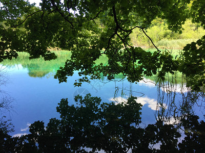 普利维茨湖泊公园或纳西奥纳尔尼公园的景观图片