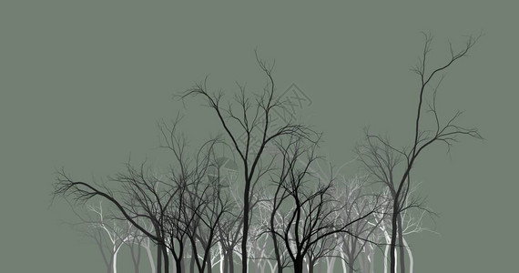 黑色背景壁纸背景摘要中的黑树图片