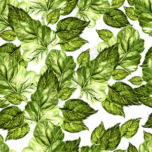 明亮的水彩无缝图案与多汁的绿叶插图图片
