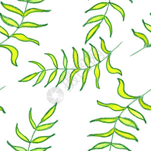 黄绿棕榈枝草叶树绘画图图片