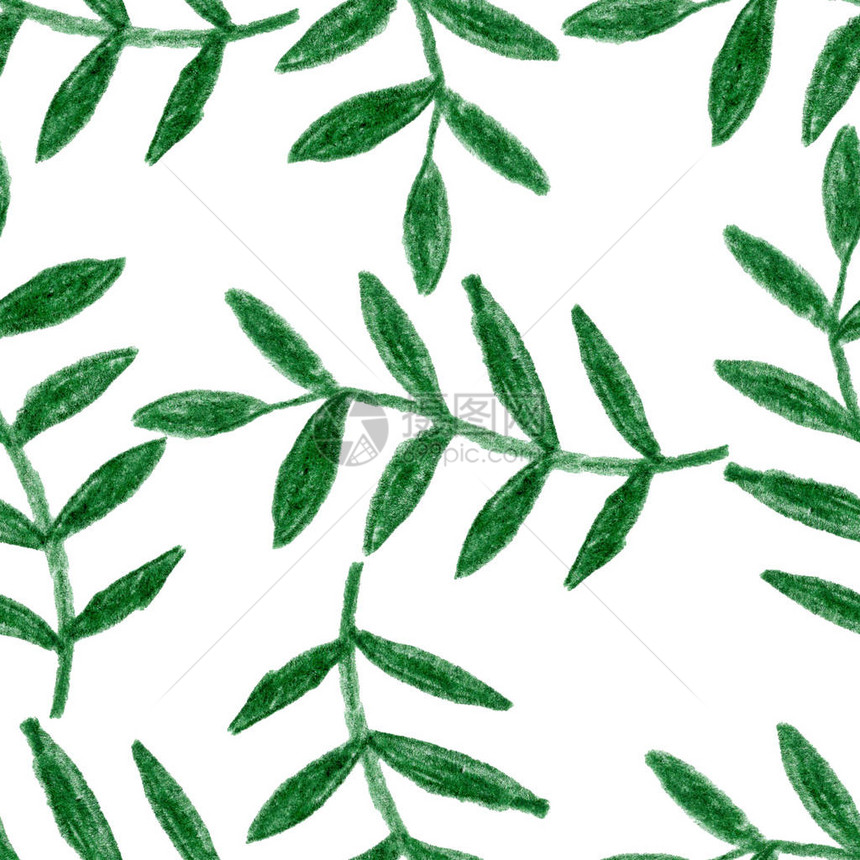 绿色深绿色树枝草药叶上画布图纸包装图片
