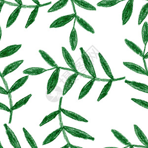 绿色深绿色树枝草药叶上画布图纸包装图片