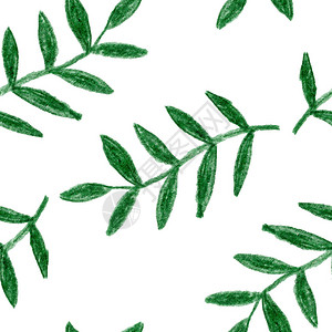 白色深绿色树枝草药叶图画模式包装图片
