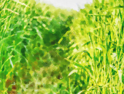 效果水彩颜料年轻的绿色麦田图片