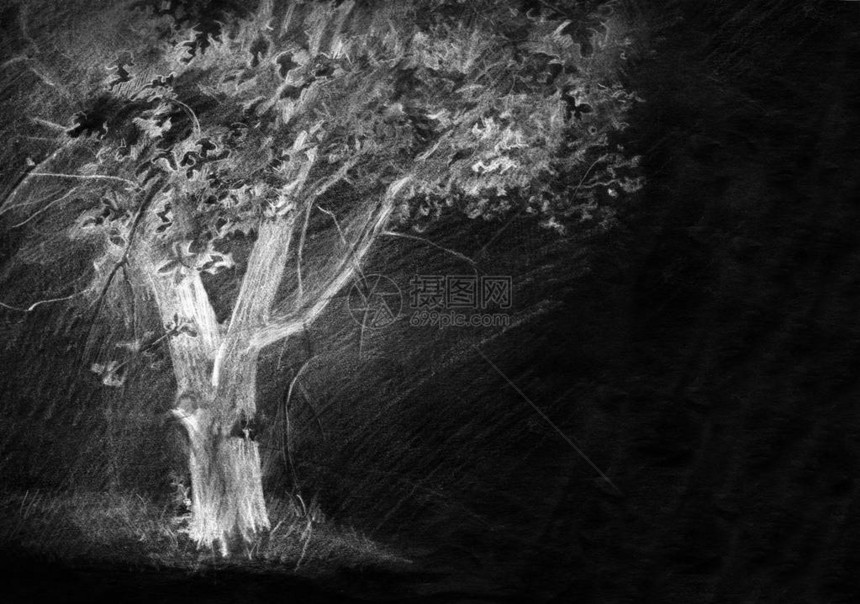 位于春后院草坪野外文字卡空间的旧桃花丛场景的阴影手持式轻粉笔线在黑板背景上的艺术涂鸦古董风格笔中绘制了生态图片