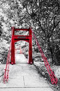 黑白森林红桥乌来高清图片