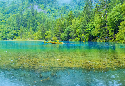 九寨沟湖与林木九寨沟是著名的自然风景区森林茂密图片