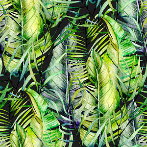 深底画手的水彩热带绿色树叶特异图片