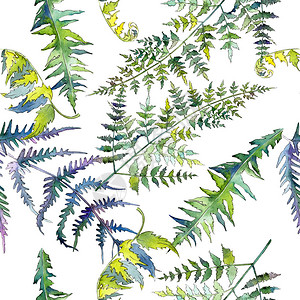 蕨绿叶植物园花卉叶子水彩插图集水彩画时尚水彩画无缝背景图案织物图片