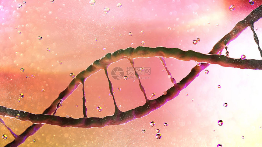 携带用于生物和许多的生长发育繁殖的遗传指令DNA螺旋图片