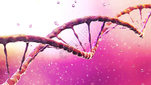 携带用于生物和许多的生长发育繁殖的遗传指令DNA螺旋图片