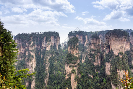 湖南州张家吉森林公园巨柱或悬崖山从峡谷上爬出图片
