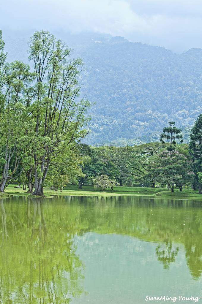 湖花园红叶风光图片