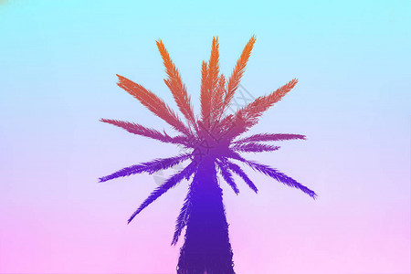 夏日天空明亮的蓝色背景上具有明亮夏日渐变的棕榈树剪影热带度图片