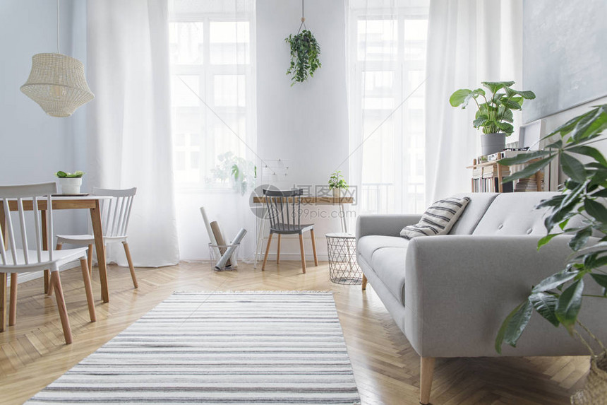 现代斯堪的纳维亚客厅配有设计家具灰色沙发植物竹书架和木桌棕色木镶地板不错的公寓时尚的装饰空间明亮而阳图片